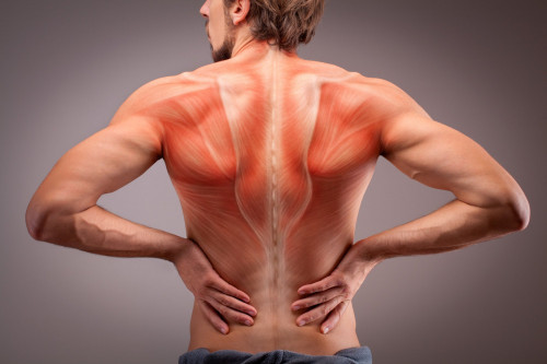 Are heat ointments good for your back pain?