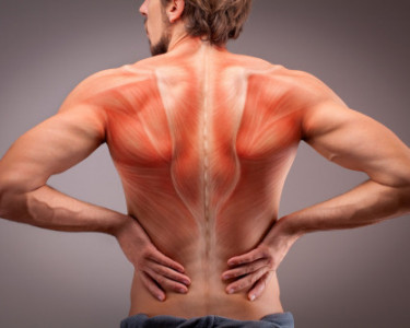 Are heat ointments good for your back pain?