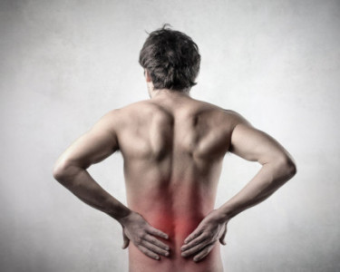What causes the lower back to go into spasm?
